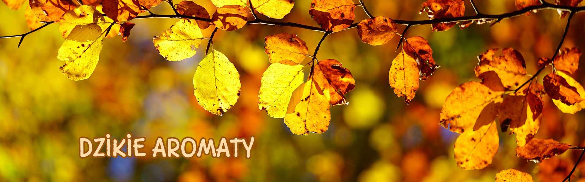 DZIKIE AROMATY DZIKIE AROMATY