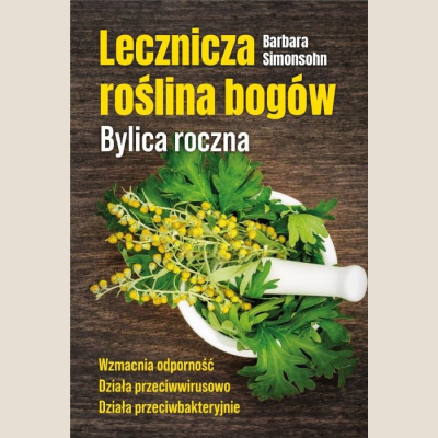 Lecznicza roślina bogów Bylica roczna
